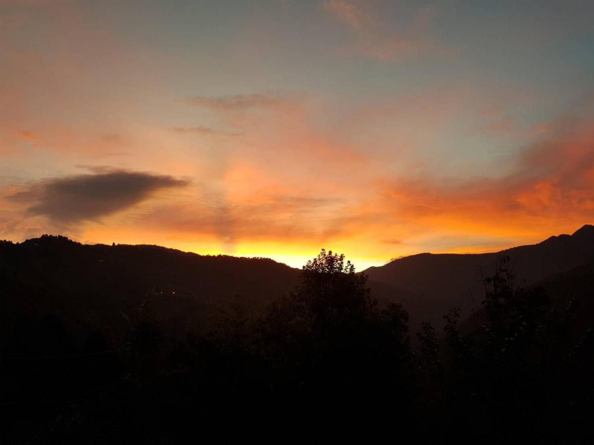 Lala Mountain Homestay‧Cile Farm Hualing エクステリア 写真