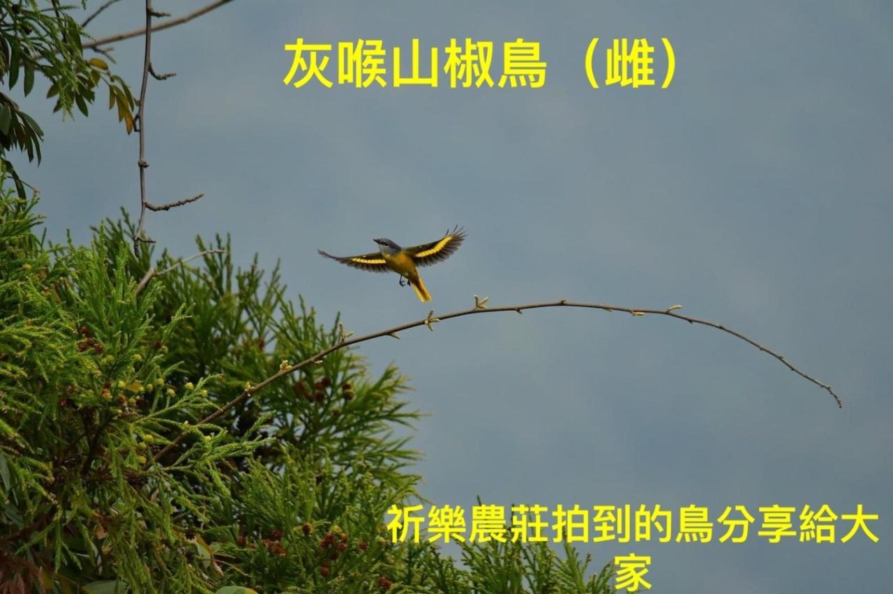 Lala Mountain Homestay‧Cile Farm Hualing エクステリア 写真