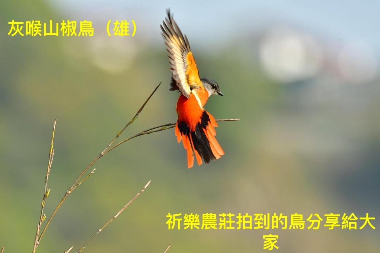 Lala Mountain Homestay‧Cile Farm Hualing エクステリア 写真