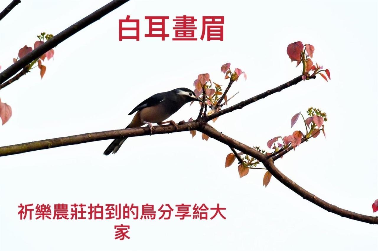 Lala Mountain Homestay‧Cile Farm Hualing エクステリア 写真