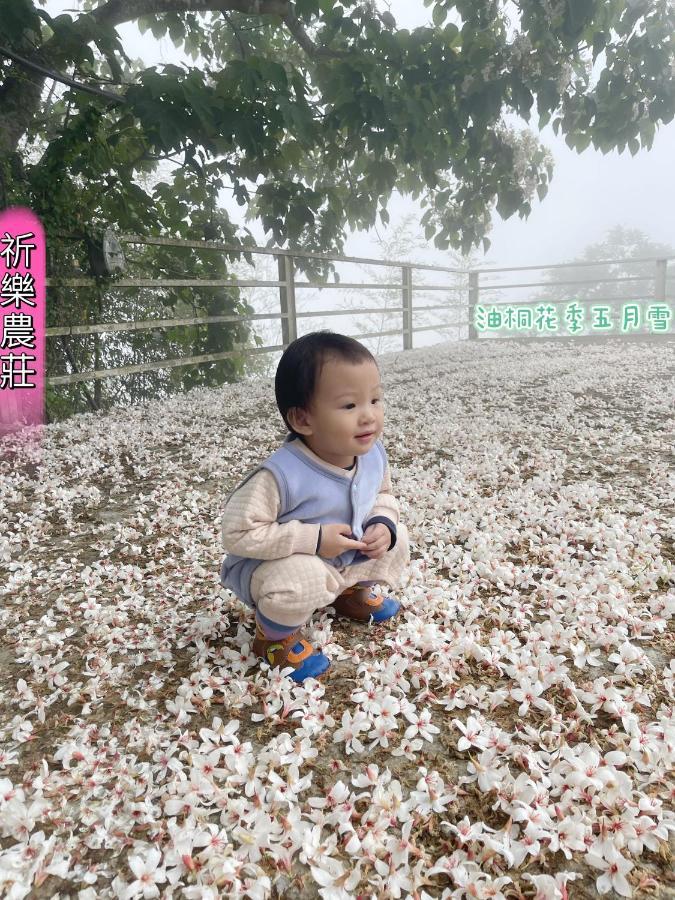 Lala Mountain Homestay‧Cile Farm Hualing エクステリア 写真