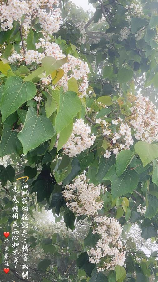 Lala Mountain Homestay‧Cile Farm Hualing エクステリア 写真